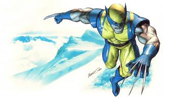 Wolverine marvel comics weapon x wallpaper