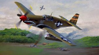 Airplanes japanese p-51 b mustang widescreen wallpaper