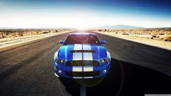 Cars shelby wallpaper