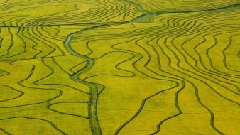Fields rice uruguay aerial view wallpaper
