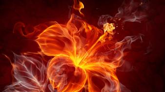 Flowers fire flower wallpaper