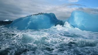 Ocean iceberg wallpaper