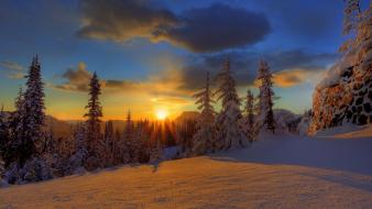 Sunset winter snow forest hdr photography skies