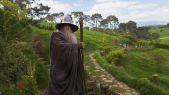 Wizards the hobbit ian mckellen staff shire wallpaper