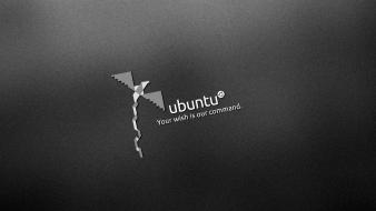 Computers linux ubuntu gnu wish wallpaper