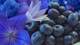 Flowers fruits blueberries wallpaper