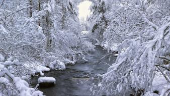 Landscapes winter snow trees rivers wallpaper