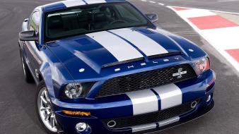 Shelby mustang ford wallpaper