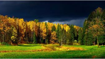 Landscapes nature forest leaves finland autumn wallpaper