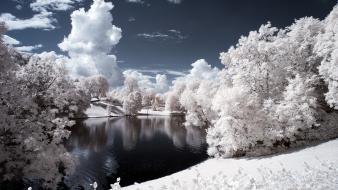 Landscapes nature trees ponds infrared photography