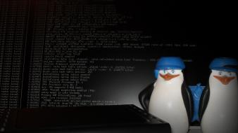 Linux, router, console, pinguin wallpaper