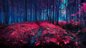 Nature red wallpaper