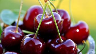 Fruits cherries crop sweet cherry wallpaper