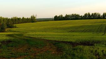 Green landscapes nature agriculture wallpaper