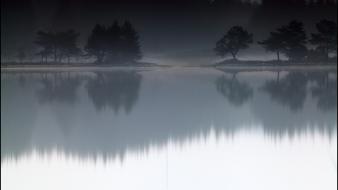 Landscapes forest fog lakes wallpaper