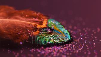 Multicolor feathers water drops macro glitter peacocks wallpaper