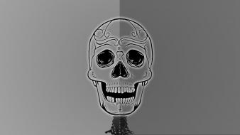 Skulls skeletons neck bones wallpaper