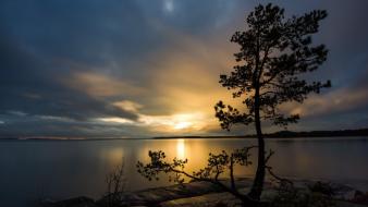 Sunset landscapes nature trees lakes wallpaper