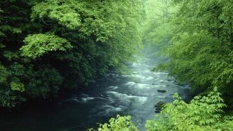 Tennessee rivers national park great smoky mountains wallpaper