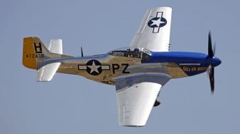 Aircraft warbird p-51 mustang wallpaper