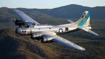Airplanes warbird b-17 flying fortress wallpaper