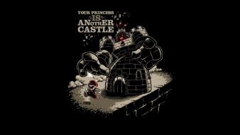 Mario princess castle wallpaper