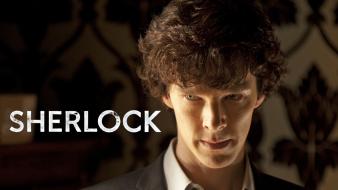 Sherlock holmes benedict cumberbatch bbc wallpaper
