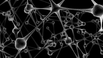 Abstract grayscale neurons wallpaper