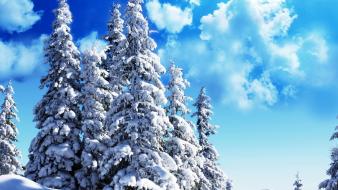 Clouds landscapes nature snow trees fir azure sky wallpaper