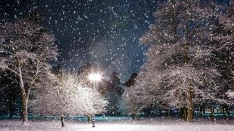 Light landscapes nature winter snow trees night parks