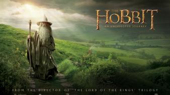Movies gandalf the hobbit ian mckellen wallpaper