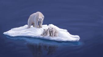 Nature cubs widescreen polar wallpaper