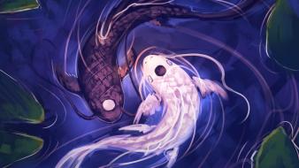 Yang avatar: the last airbender fishes moni158 wallpaper