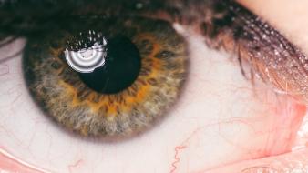 Close-up eyes macro wallpaper