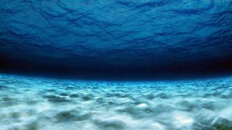 Nature underwater sea water wallpaper