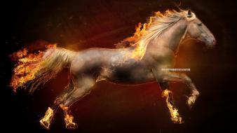 Fire horses ponyta creative wallpaper