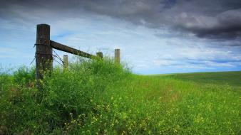 Landscapes fences grass overcast wildflowers wallpaper