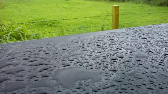 Water drops raindrops focused wallpaper