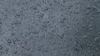 Water rain wet wallpaper