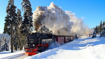 Winter snow trees trains locomotives brockenbahn