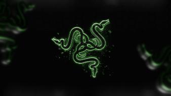 Green video games razer l33t