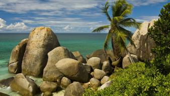 Rocks palm trees seychelles wallpaper