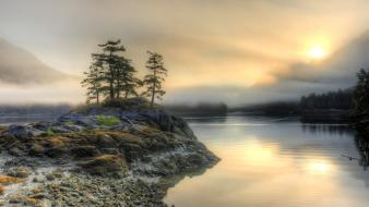 Sunset landscapes trees british columbia low tide wallpaper