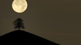 Trees moon silhouette switzerland full wallpaper