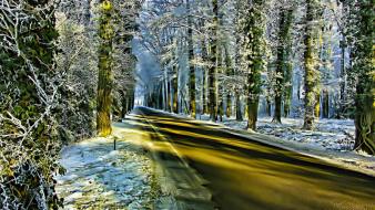 Winter golden journey roads wallpaper