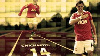 Hernandez manchester united premier league football stars wallpaper