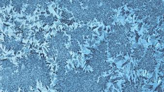 Ice nature macro wallpaper