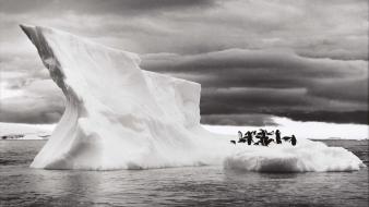 Icebergs antarctica 2005 sebastião salgado wallpaper