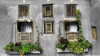 Iran windows wallpaper