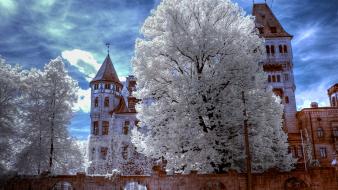 Nature romania dracula transylvania bran castle wallpaper